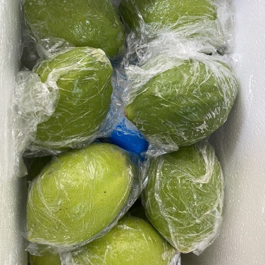 藤县无籽香水柠檬鲜果