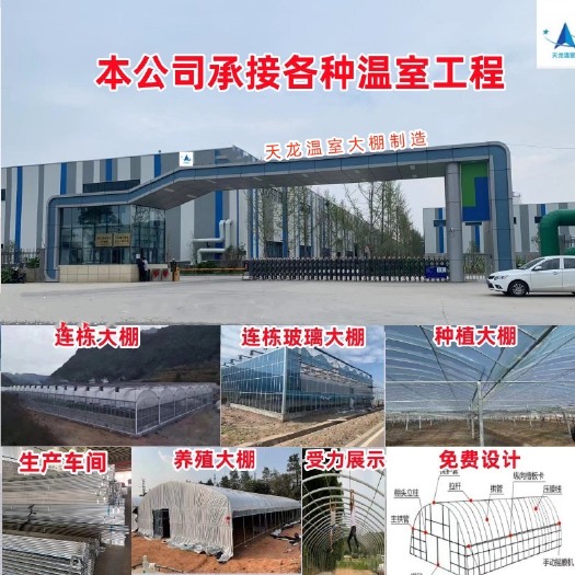 东台市连体外遮阳大棚简易连栋大棚大棚骨架椭圆管养殖棚