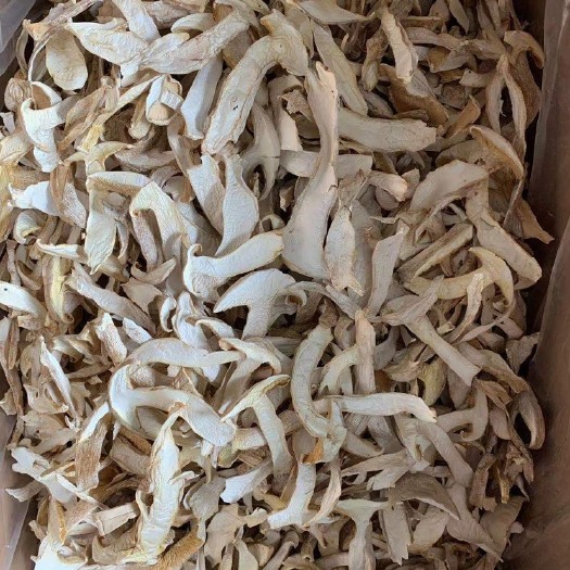 昆明白松茸批发云南白松茸