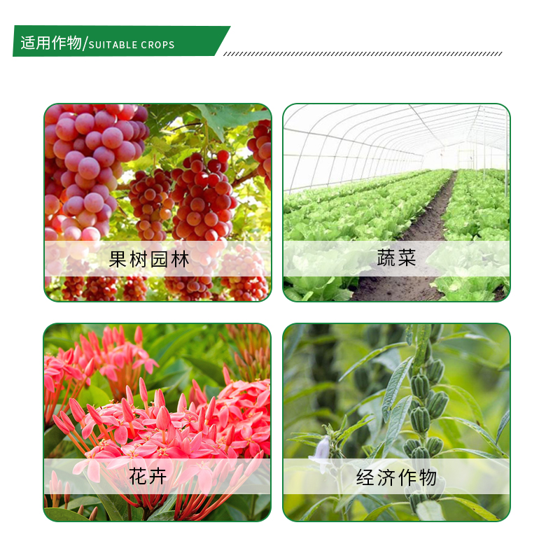 聯(lián)苯肼酯果樹花卉月季草莓茶黃螨二斑葉螨紅蜘蛛殺螨卵農(nóng)藥殺蟲劑