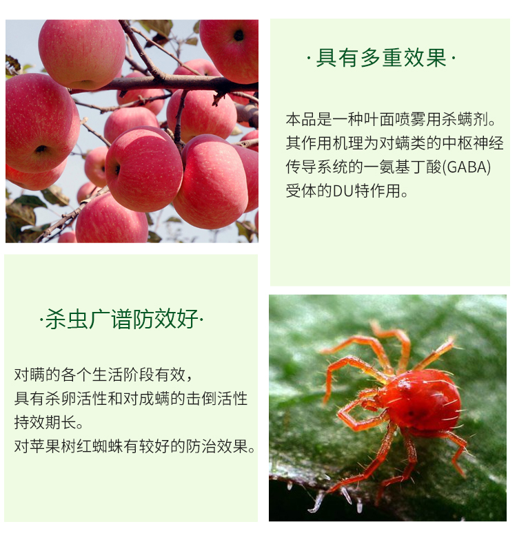 聯(lián)苯肼酯果樹花卉月季草莓茶黃螨二斑葉螨紅蜘蛛殺螨卵農(nóng)藥殺蟲劑