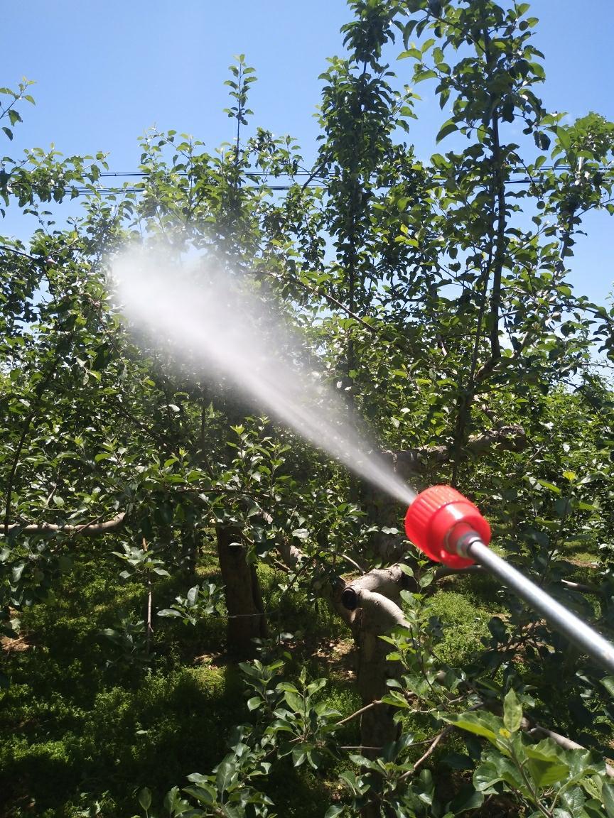 90型噴槍 果樹園林農(nóng)業(yè)莊稼除蟲打藥噴槍