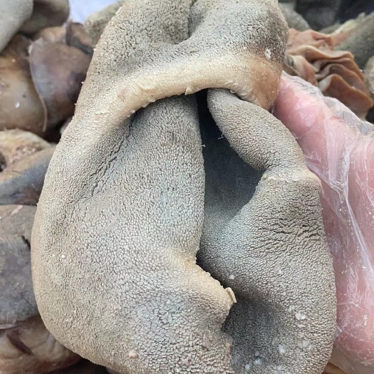 阳信县羊杂  全套羊杂，可定制，有需要老板随时联系