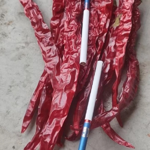 淅川县二荆条上通货干辣椒香辣干度好食品厂二荆条线椒七寸红辣椒不熏硫
