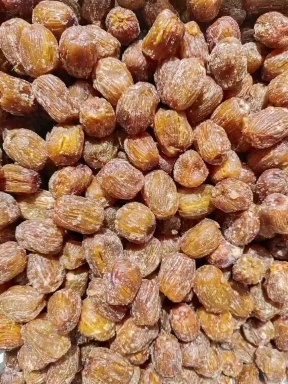 赞皇县赞皇蜜枣