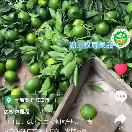 丹江口市柑桔