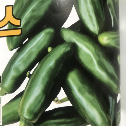 三河市辣椒韩国100粒