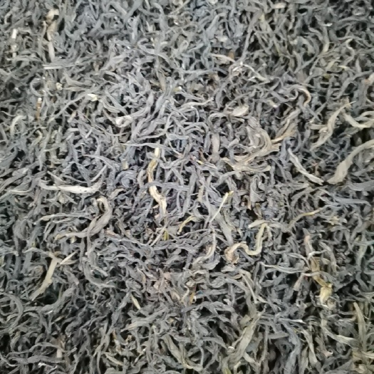 饶平县潮州单丛茶黄枝香