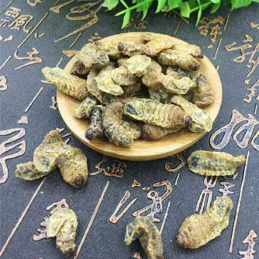 亳州【热卖包邮】蛴螬鸡母虫鸡婆虫土蚕老母虫白时虫螆头大牙桃各虫