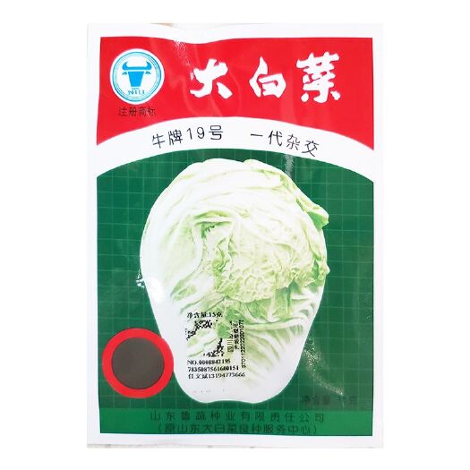 成都牛牌19号大白菜种子籽F1 耐热抗病高产细嫩品质优蔬菜种子