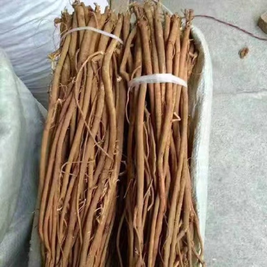 亳州【热卖包邮】冷背药材千斤拔土黄鸡牛大力千斤吊一条根支持检测