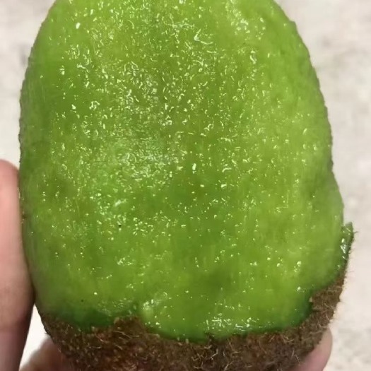 长沙批发猕猴桃