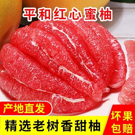 深圳福建平和柚子红心蜜柚琯溪红心柚子超甜薄皮蜜柚当季新鲜水果包邮