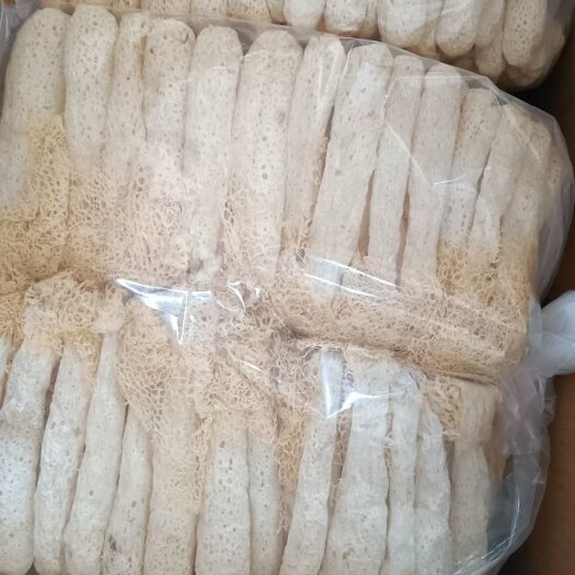 古田县福建带裙竹荪一手货源品质保证大量现货