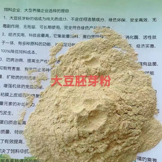 石家庄大豆胚芽粉