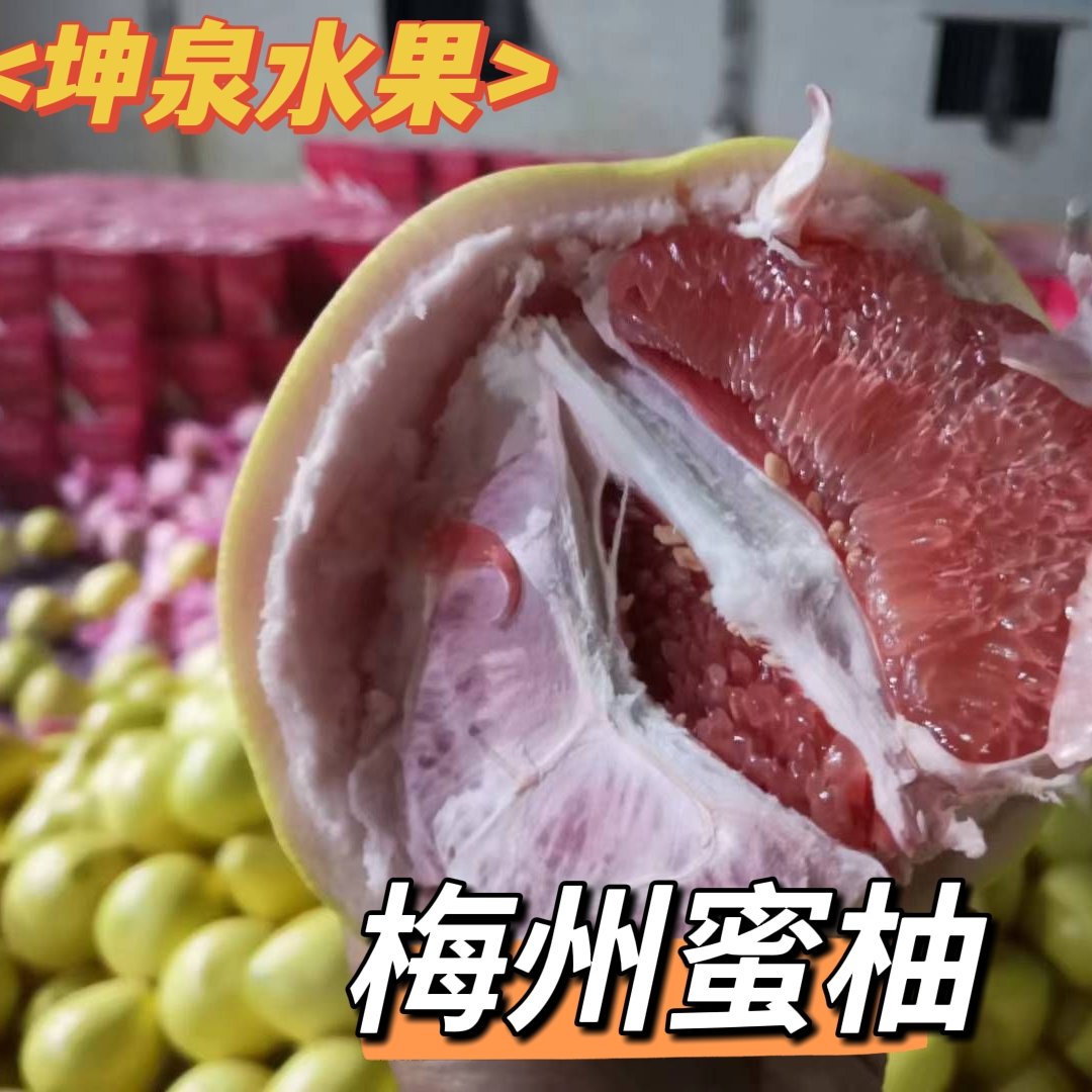 廣東梅州紅心柚  琯溪紅心蜜柚產(chǎn)地直供 實力代辦 貨源充足