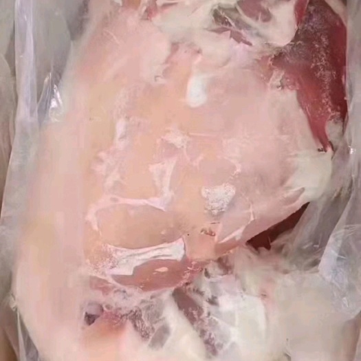 定州市绵羊  精品烤全羊  手续齐全大量供应需要的老板联系我