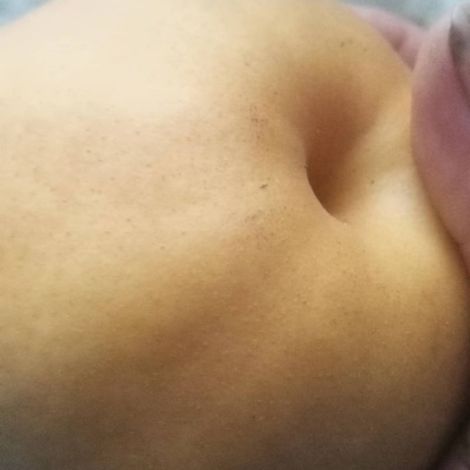 唐河县晚秋黄梨