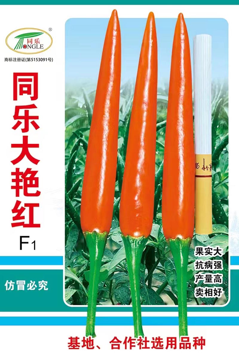 同乐大艳红朝天椒种子高产正品5克袋装包邮