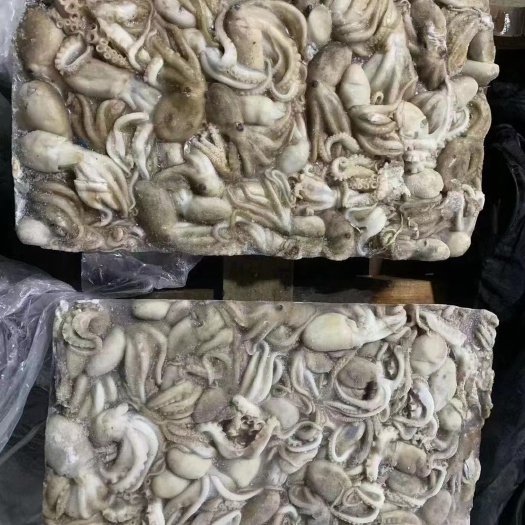 渤海湾八爪，墨斗鱼