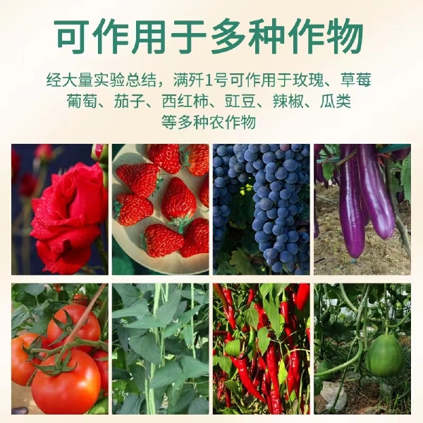 杀螨剂——满歼柑橘红蜘蛛