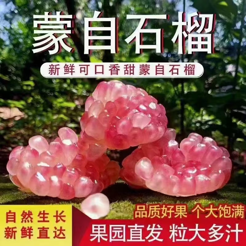 石榴 云南省红河哈尼族彝族自治州蒙自市