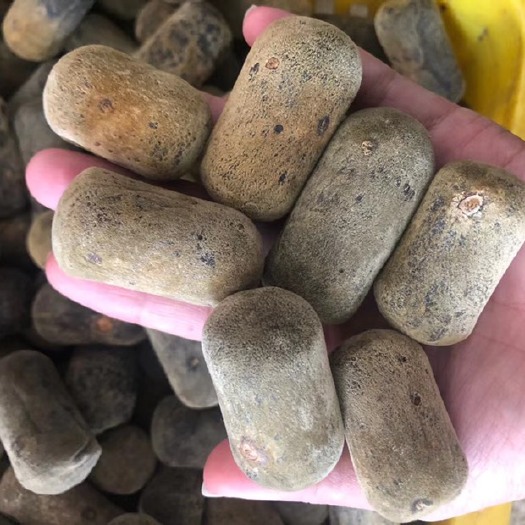 化州市精挑细选的2.5橘红压果【收藏必选】