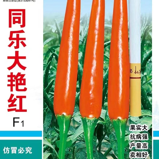 天津同乐大艳红朝天椒种子高产正品5克袋装包邮