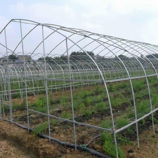 沭阳县种植大棚