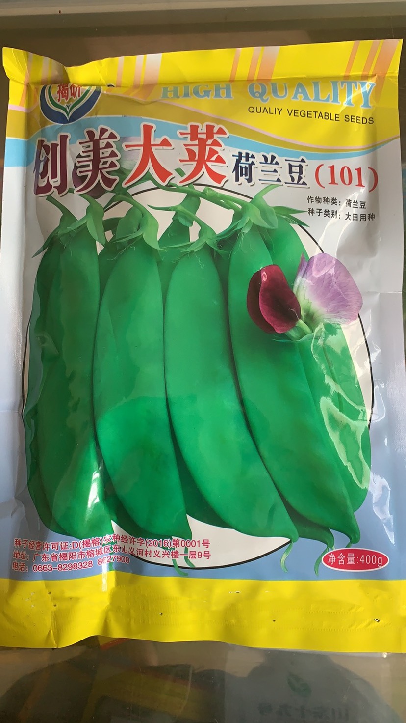 南靖县荷兰豆种子 大荚  紫红花  软荚厚肉 纤维少