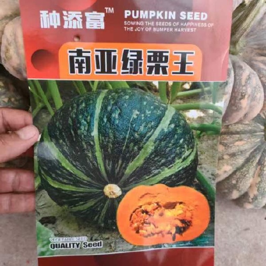 临沧南瓜种子