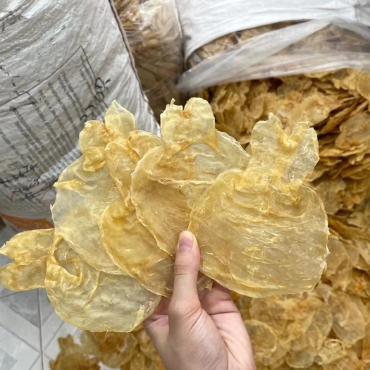 55头越南蜘蛛胶 花胶 鱼胶有小金钱之称薄如纸营养胶质好