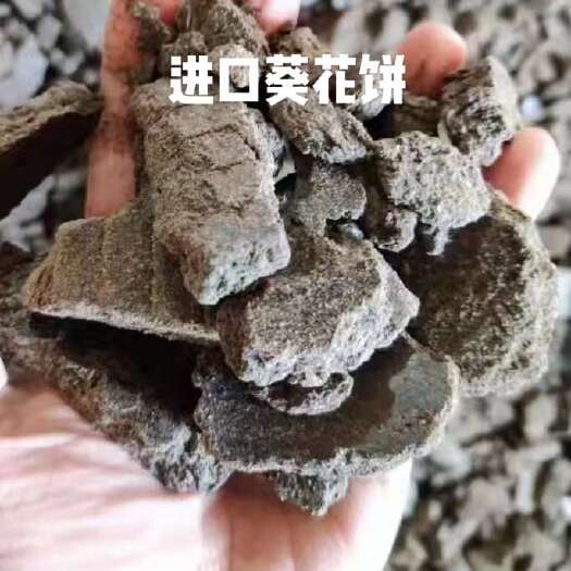 成都葵花饼