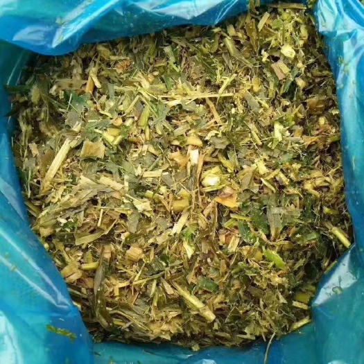 宁晋县玉米秸秆黄储  黄贮