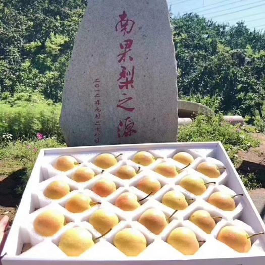海城市东北鞍山特产南果梨皮儿薄多汁酒香甘甜，当季新鲜水果
