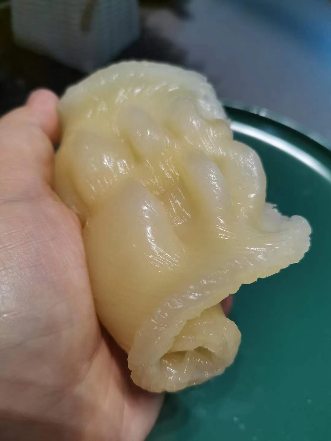 55头越南蜘蛛胶 花胶 鱼胶有小金钱之称薄如纸营养胶质好