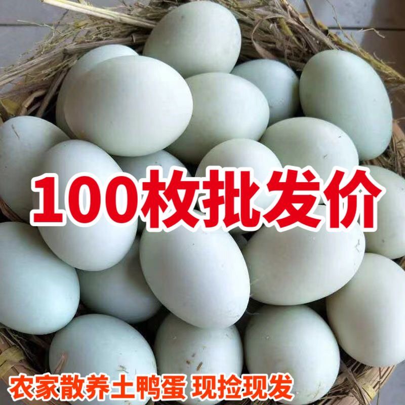 福清市新鲜生鸭蛋青壳农家土鸭蛋生态麻鸭蛋土鸭蛋100枚批发价