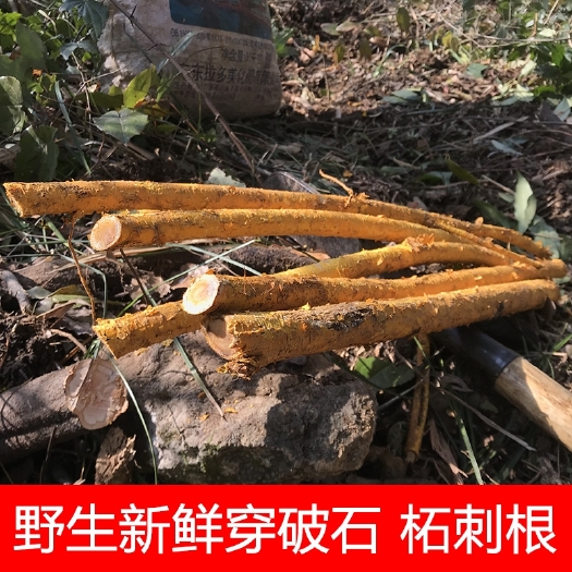 田林县穿破石(纯)