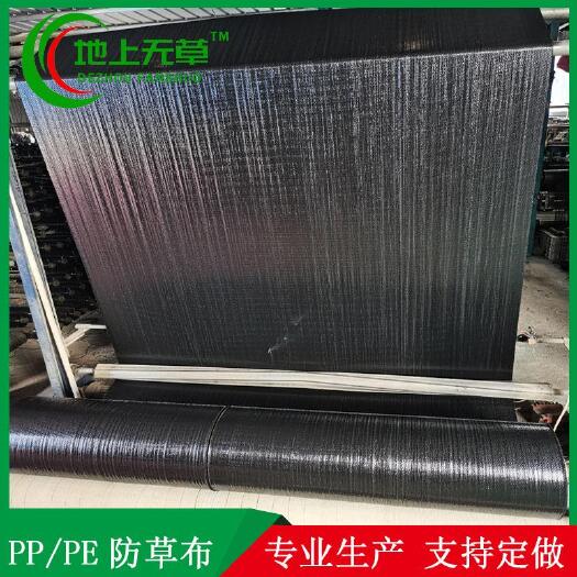 德州PE防草布果园园艺农用透水透气耐用地上无草除草布