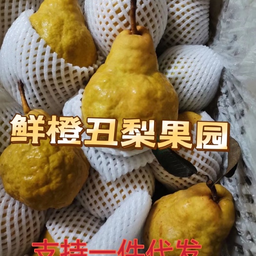 赵县【超甜软糯】烟台中华丑梨放软吃新鲜水果软糯多汁软梨整箱包邮
