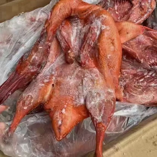 成都卤板鸭一件50斤纯干货颜色漂亮口感丰富大量现货供应一手货源