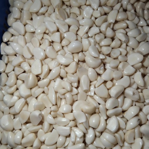 牡丹江手工蒜米支持发货