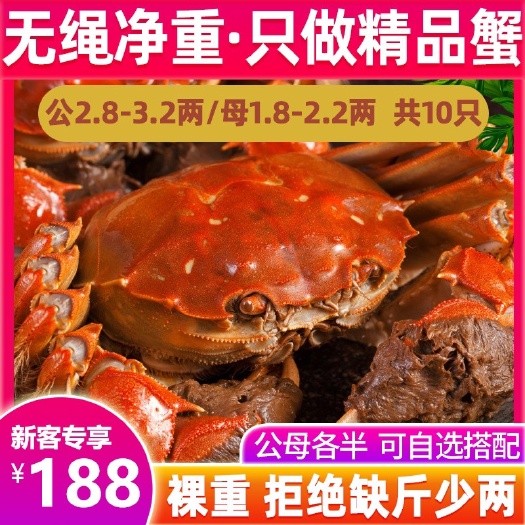 当涂县大闸蟹鲜活螃蟹海鲜水产青蟹支持批发