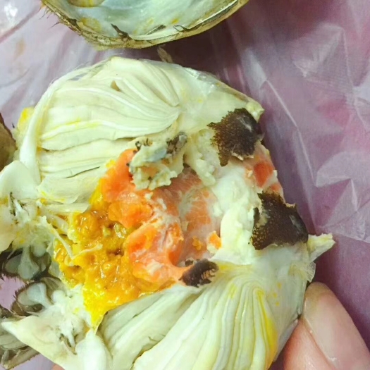 庐江县螃蟹大量上市，大量批发，精品蟹有货，