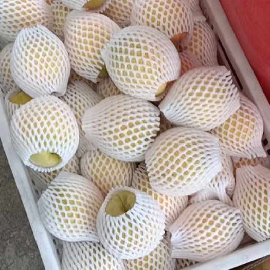 安化县中秋佳节即将来临，有需要送礼的朋友家人，栗林黄桃，