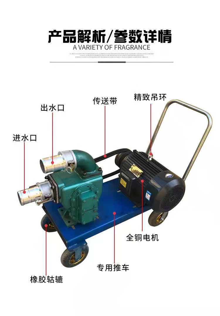 养殖场抽粪泵排污泵沼气泥浆化粪池猪鸡鸭牛粪污水泵农用厕所灌溉