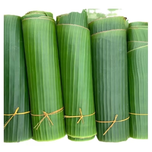 崇义县芭蕉叶，现在现发，天然绿色芭蕉叶，无化肥无农药，