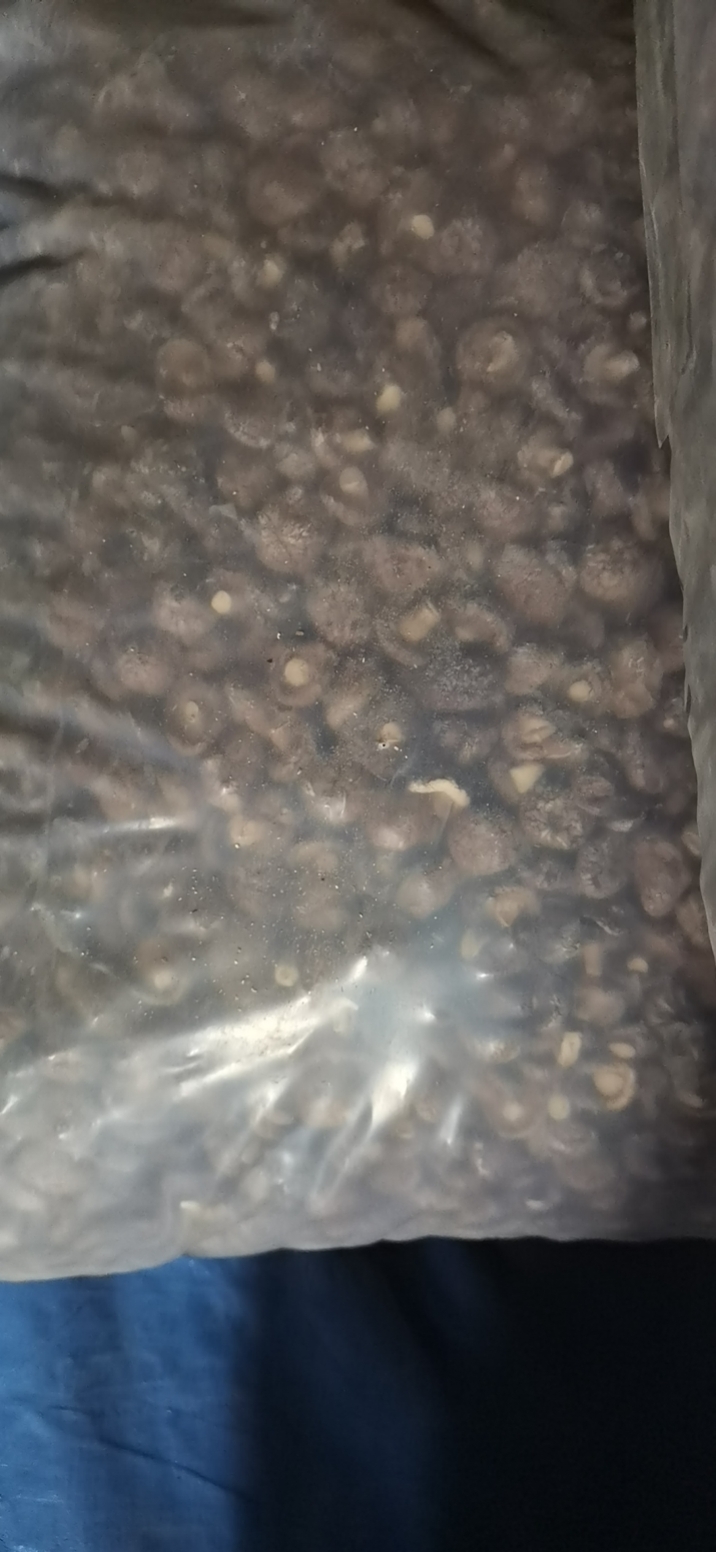 干香菇批发价，