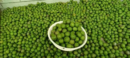 深圳新鲜仁面果，当天摘，晚上发货