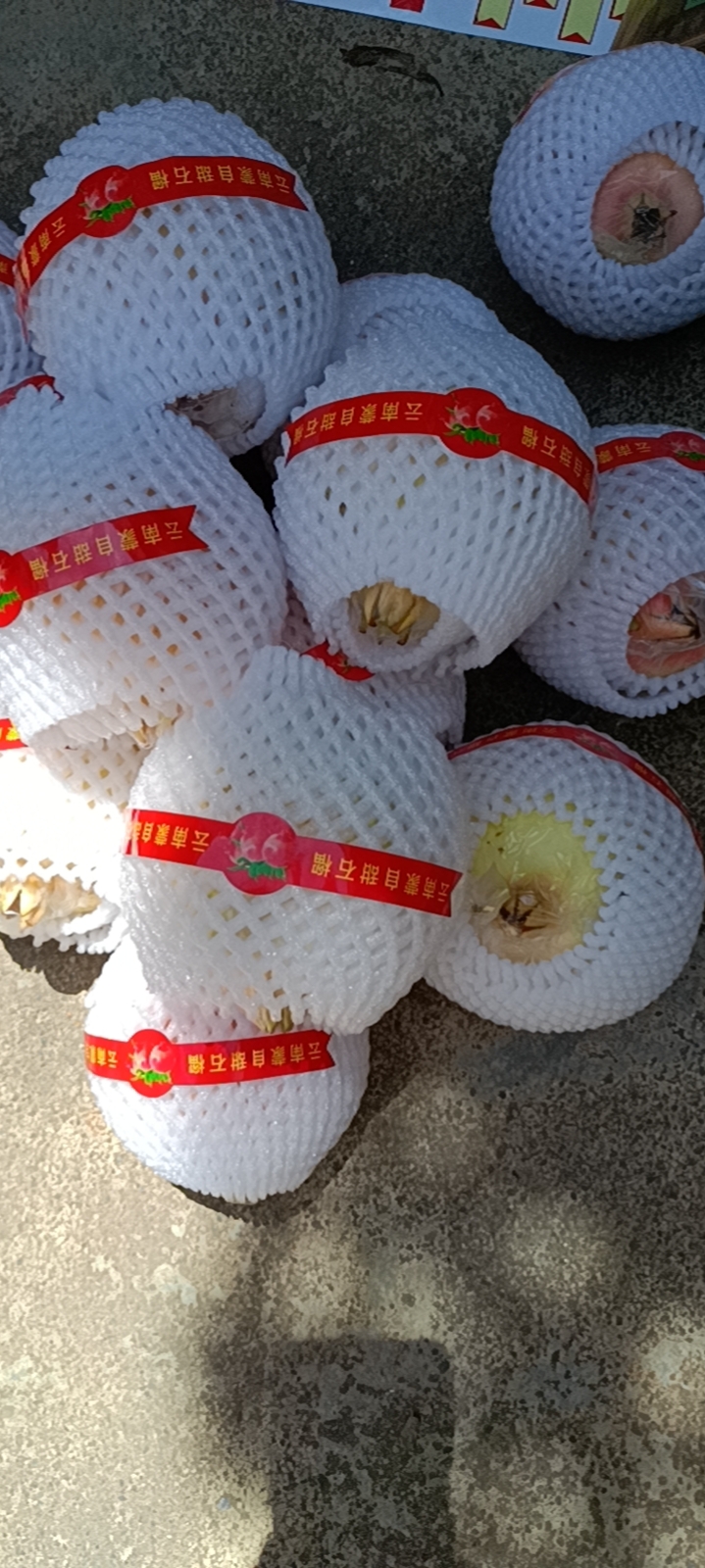 石榴 云南省红河哈尼族彝族自治州蒙自市